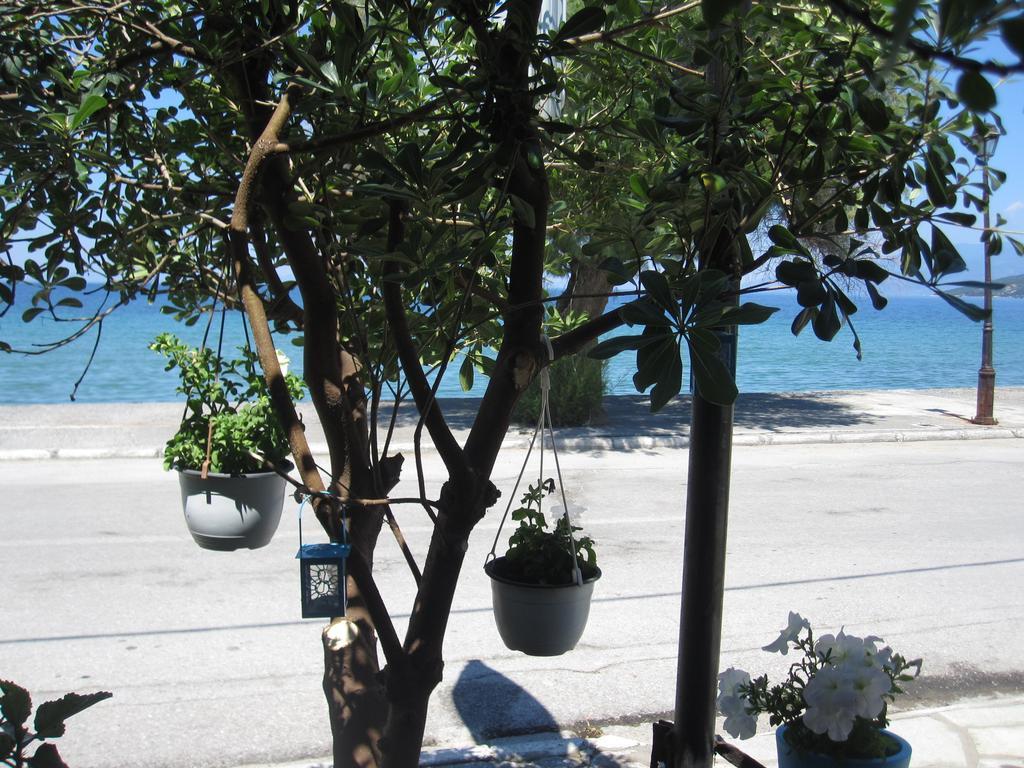 Gorgona Διαμέρισμα Μηλιά Εξωτερικό φωτογραφία