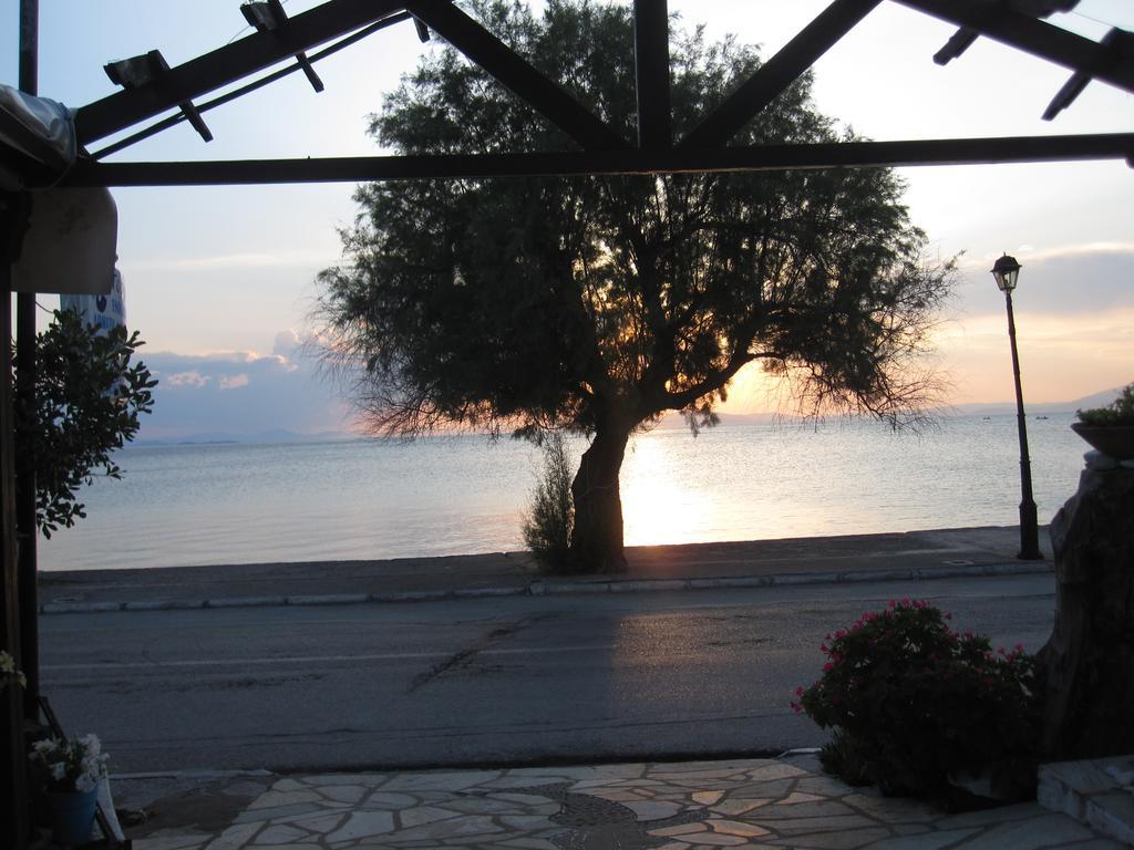 Gorgona Διαμέρισμα Μηλιά Εξωτερικό φωτογραφία